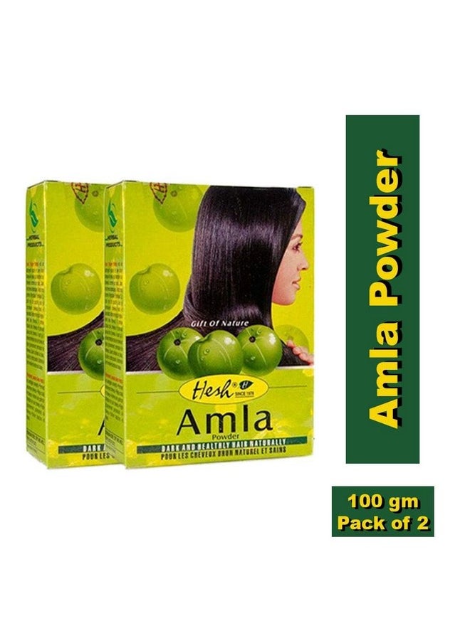 Hesh Hesh Pharma Amla Hair Powder 3.5oz., 100g (Pack of 2)  - Image 3