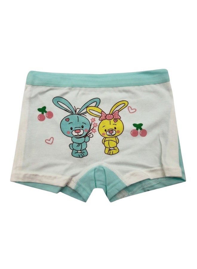 Bidani Pure Cotton Soft Comfort Panties – 4 PC Girl - Image 4