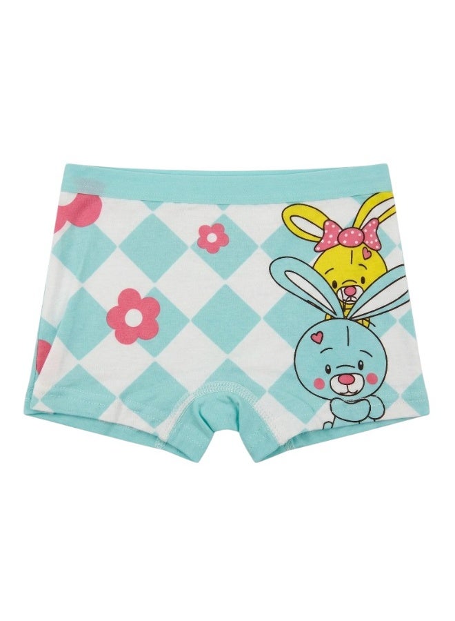 Bidani Pure Cotton Soft Comfort Panties – 4 PC Girl - Image 3