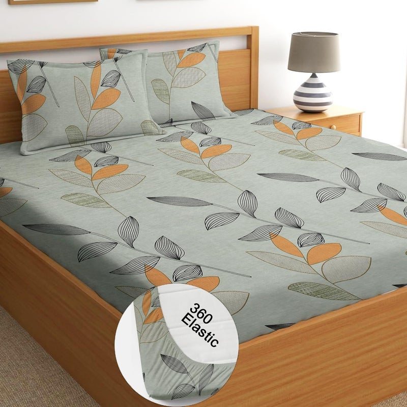 STARNSTYLE 100% Cotton Super Soft 240 Thread Count Elastic Fitted All Around Elastic Printed King Size Double Bed Bedsheet with 2 Pillow Cover 72" X 78" - Image 1