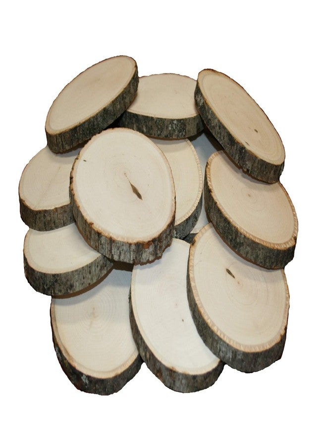 ويلسون مجموعة قواعد أكواب ويلسون المصنوعة من خشب الزيزفون (مجموعة من 12 قطعة) - Image 2