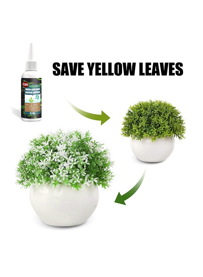 ييبونغ الحمض الأميني محلول المغذيات النباتية، العناصر النزرية الأسمدة المركزة الأوراق العضوية لتعزيز التجذير الأوراق الخضراء التغذية السائل، البستنة إكسسوارات الرعاية (30 مل) - Image 2