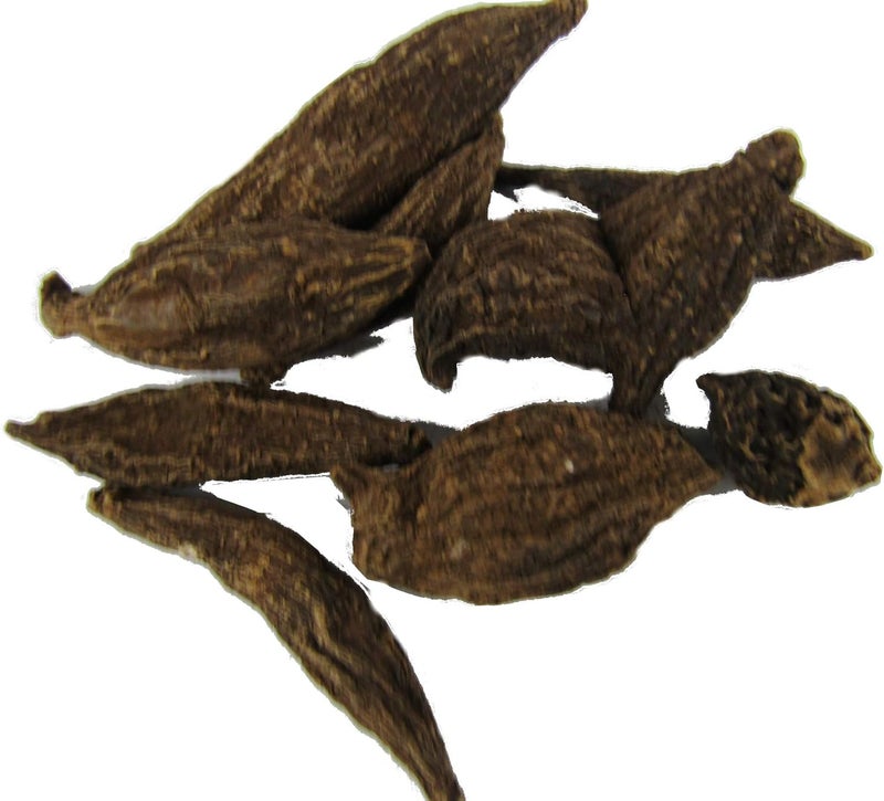 CircuitOffice Herbs John the Conqueror Root - Whole - Image 1