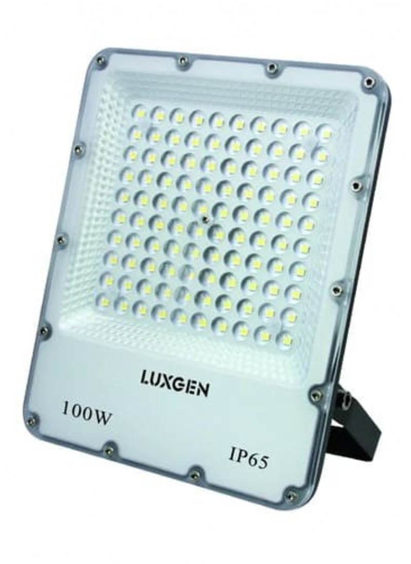 Outdoor Flood Light 100 Watt White - pzsku/ZD848BD1EE43066FCBFD1Z/45/_/1704900092/f7585321-00ee-499c-a963-199924fe1d6f