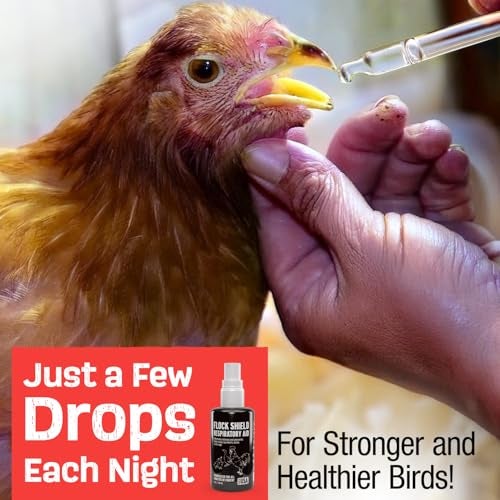 Samorillo Flock Shield Respiratory Aid for Poultry - [Made in USA] - 4oz Chicken Supplement, Rooster Booster for Respiratory System - Dropper, Spray Top Included - Safe for All Birds - Drinking Water Additive - Image 3