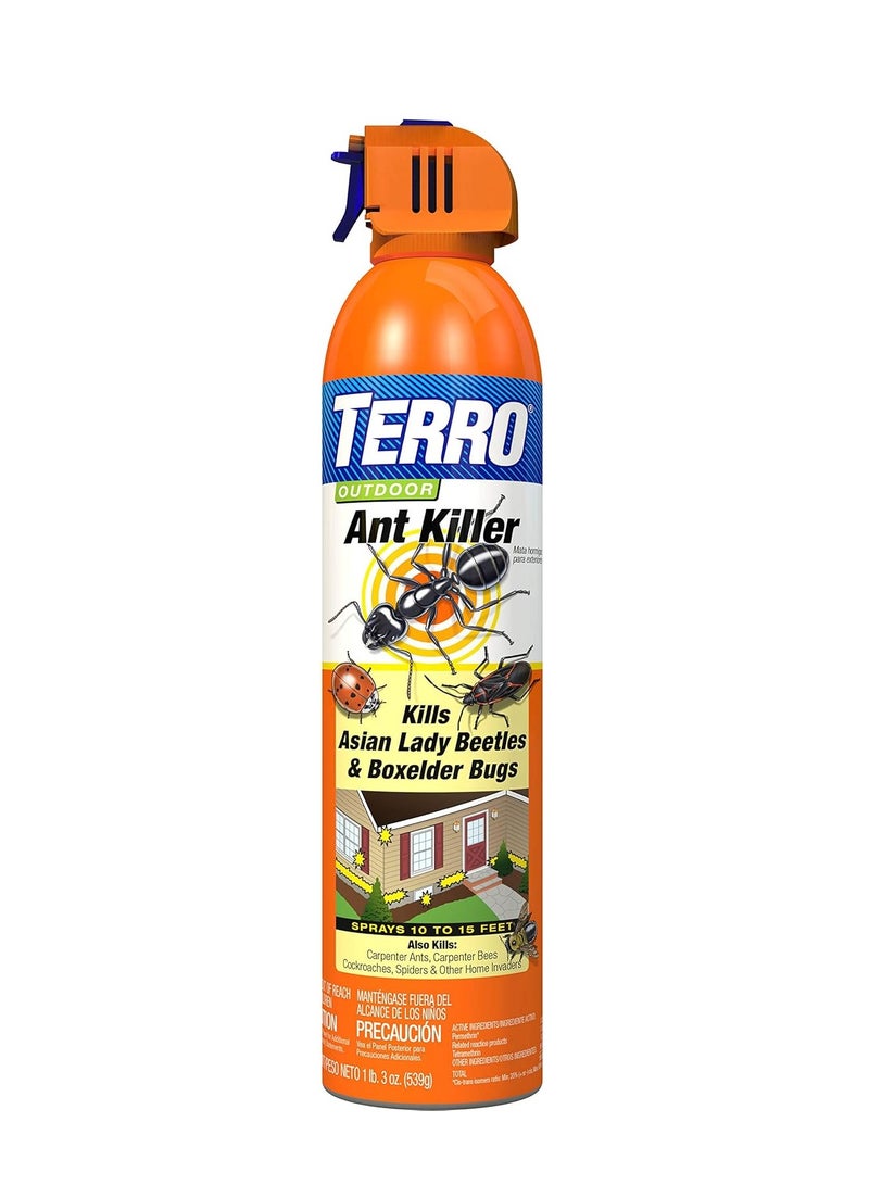 TERRO T1700SR 19 oz Outdoor Ant Killer Spray - Image 1