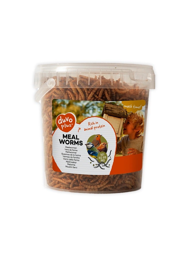 Duvo Meal Worms Bucket - 200G - Image 1