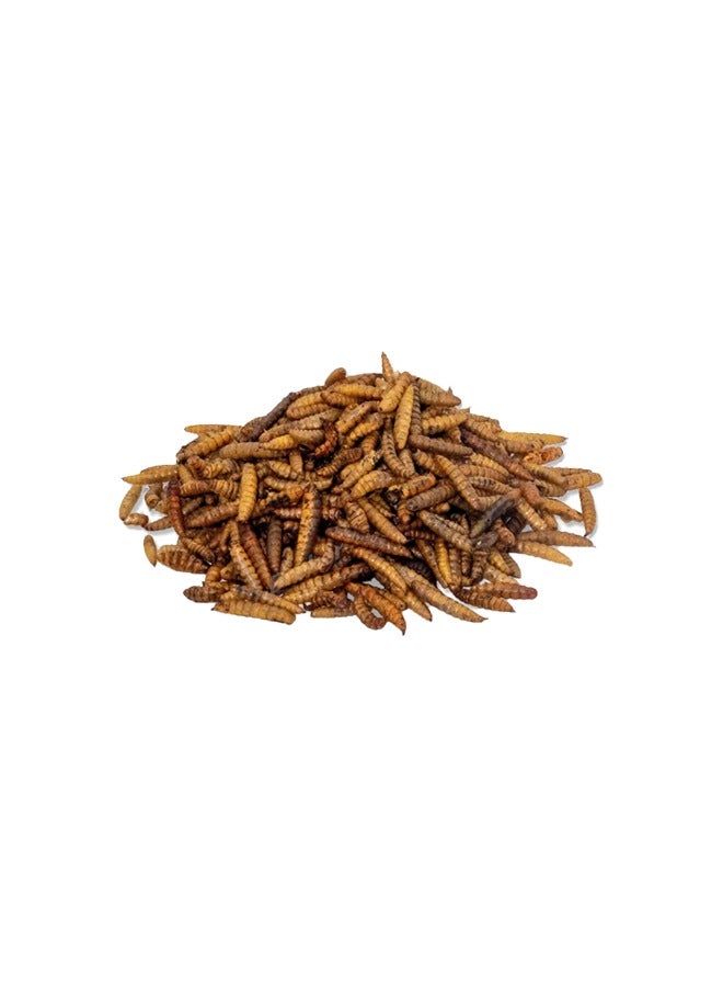 Duvo Meal Worms Bucket - 200G - Image 2