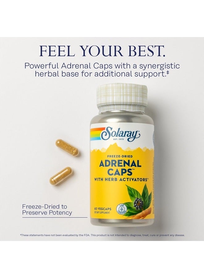 SOLARAY Adrenal Caps, Freeze-Dried - Wellness Support Adrenal Cocktail with Herb Activators Eleuthero, Gotu Kola, Licorice and Clove - Lab Verified, 60-Day Guarantee - 30 Servings, 60 VegCaps - Image 3