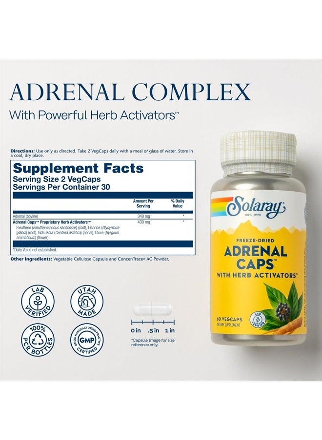 SOLARAY Adrenal Caps, Freeze-Dried - Wellness Support Adrenal Cocktail with Herb Activators Eleuthero, Gotu Kola, Licorice and Clove - Lab Verified, 60-Day Guarantee - 30 Servings, 60 VegCaps - Image 2