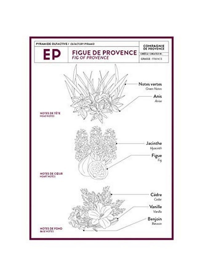 La Compagnie de Provence Compagnie De Provence Savon De Marseille Extra Pure Liquid Soap Fig Of Provence 10 Fl Oz Plastic Pump Bottle - Image 4