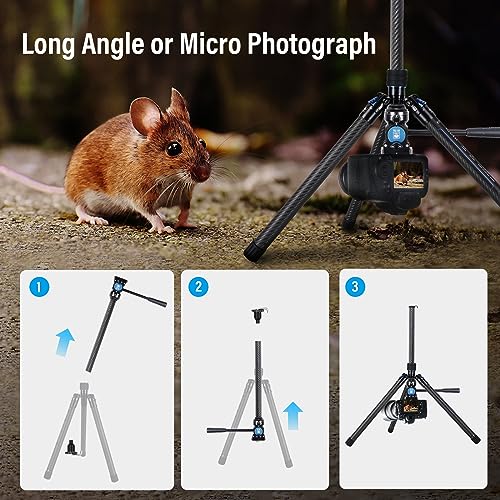 SIRUI Carbon Fiber Tripod Lightweight 2lbs with Panoramic Fluid Head, 59.8” Compact Camera Tripod Quick Release Leg Setup, Reversible Center Column, Reverse Folding Legs, Max Load 11lbs - Traveler X - Image 5