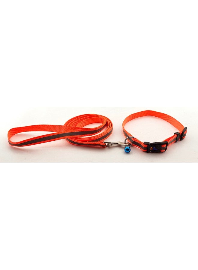 حزام رقبة من النايلون العاكس ومجموعة من الجرس مثالية لجميع الكلاب الصغيرة والجراء - برتقالي - Image 1