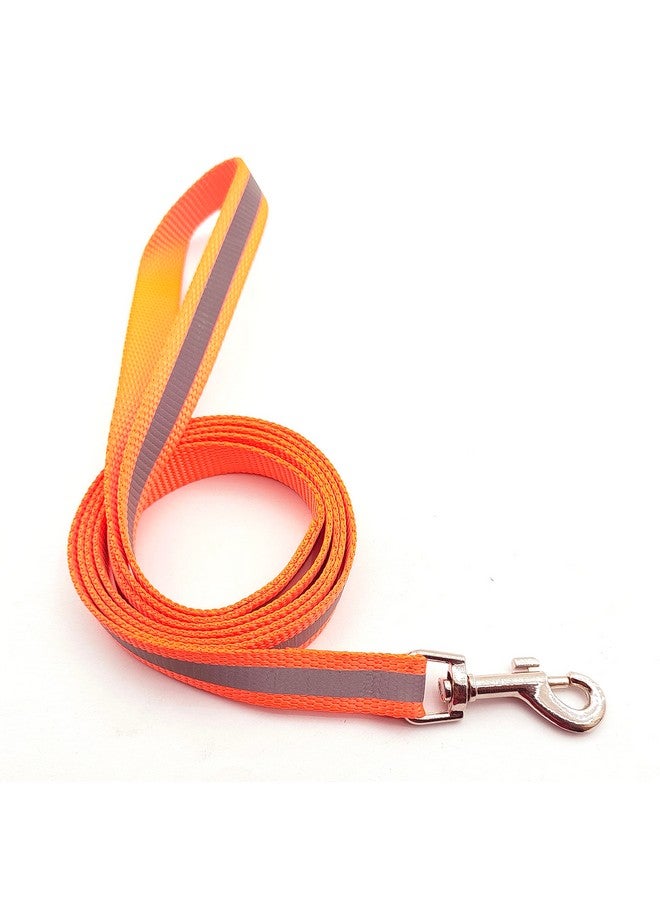 حزام رقبة من النايلون العاكس ومجموعة من الجرس مثالية لجميع الكلاب الصغيرة والجراء - برتقالي - Image 4