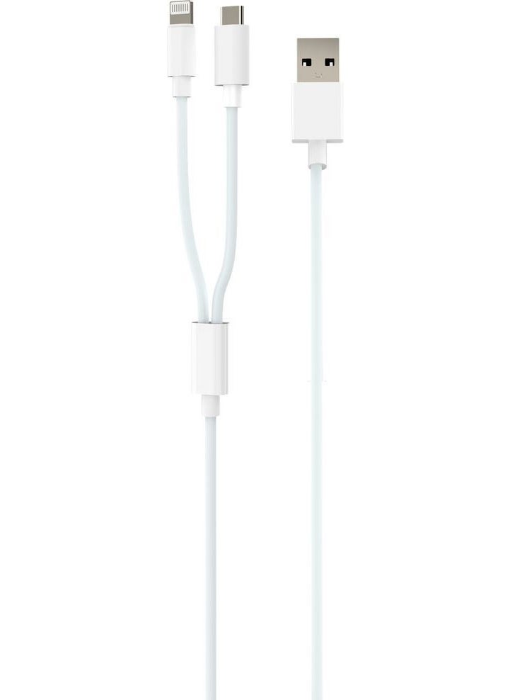 2in1 Type-C iPhone Lightning 5.0 Fast Charging and Data Cable - pzsku/ZD85541211ABC87015548Z/45/_/1725895622/98aec951-3477-445d-b5a3-422ae0b36750