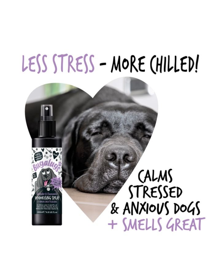 Bugalugs Lavender & Chamomile Dog Deodorising Spray 200ml – Soothes Skin & Freshens Coat - Image 4