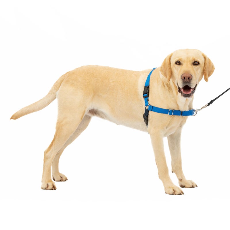 PetSafe Easy Walk No-Pull Dog Harness - The Ultimate Harness to Help Stop Pulling - Take Control & Teach Better Leash Manners - Helps Prevent Pets Pulling on Walks, Large, Royal Blue/Navy Blue - Image 1