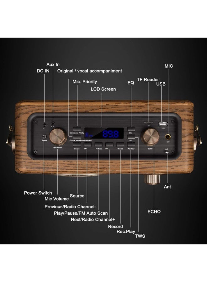 LuguLake Handheld Multi-Function Bluetooth Speaker PA System With Power Bass, FM Radio, Mic Input, Wireless - Image 4