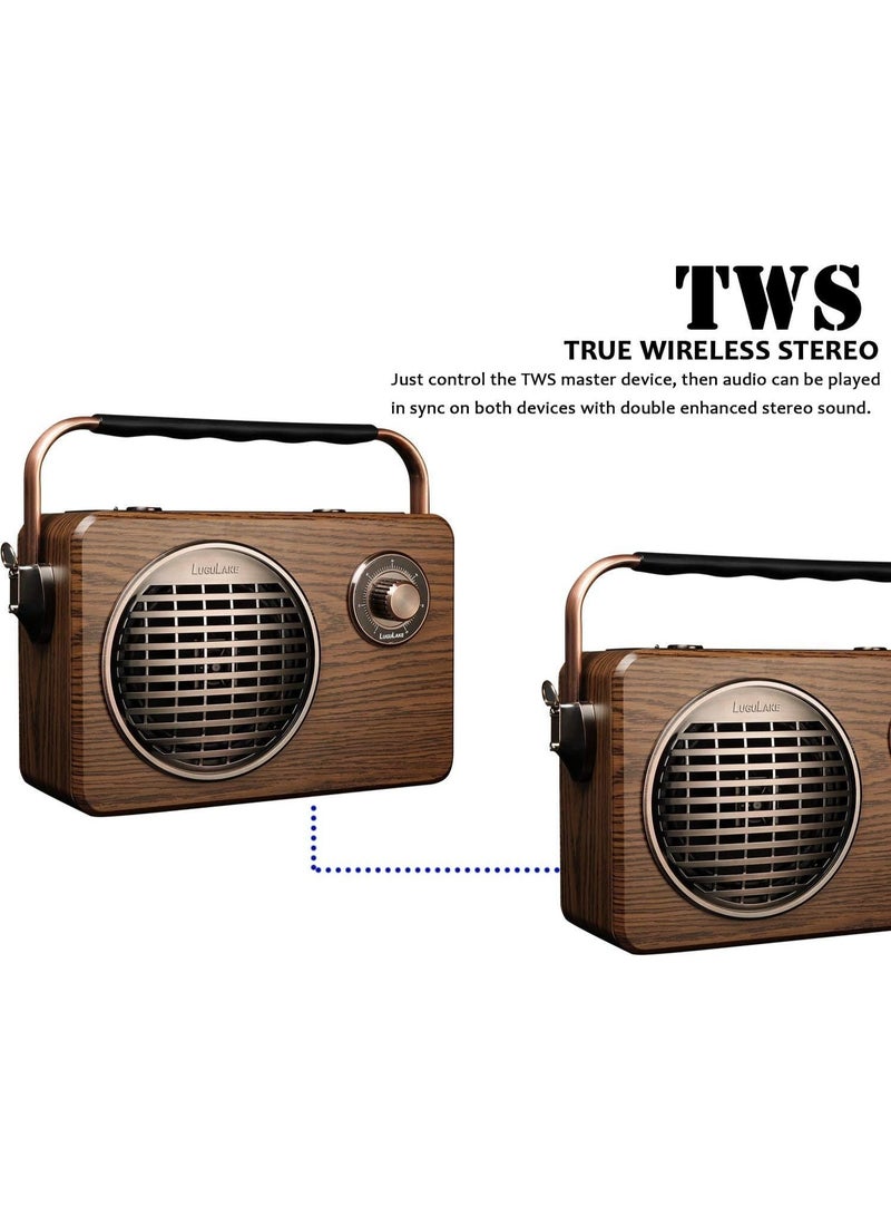 LuguLake Handheld Multi-Function Bluetooth Speaker PA System With Power Bass, FM Radio, Mic Input, Wireless - Image 3
