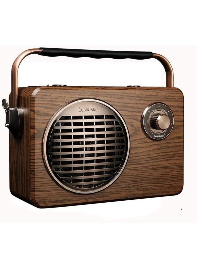 LuguLake Handheld Multi-Function Bluetooth Speaker PA System With Power Bass, FM Radio, Mic Input, Wireless - Image 1