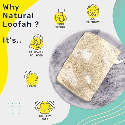 awenest 100% Natural Sun-Dried Loofah | Organic Bath Scrubber for Women & Men | Gentle Exfoliating Body Scrub Sponge | Eco-Friendly, Biodegradable Body Brush | Removes Dead Skin | Pack of 3 - Image 4