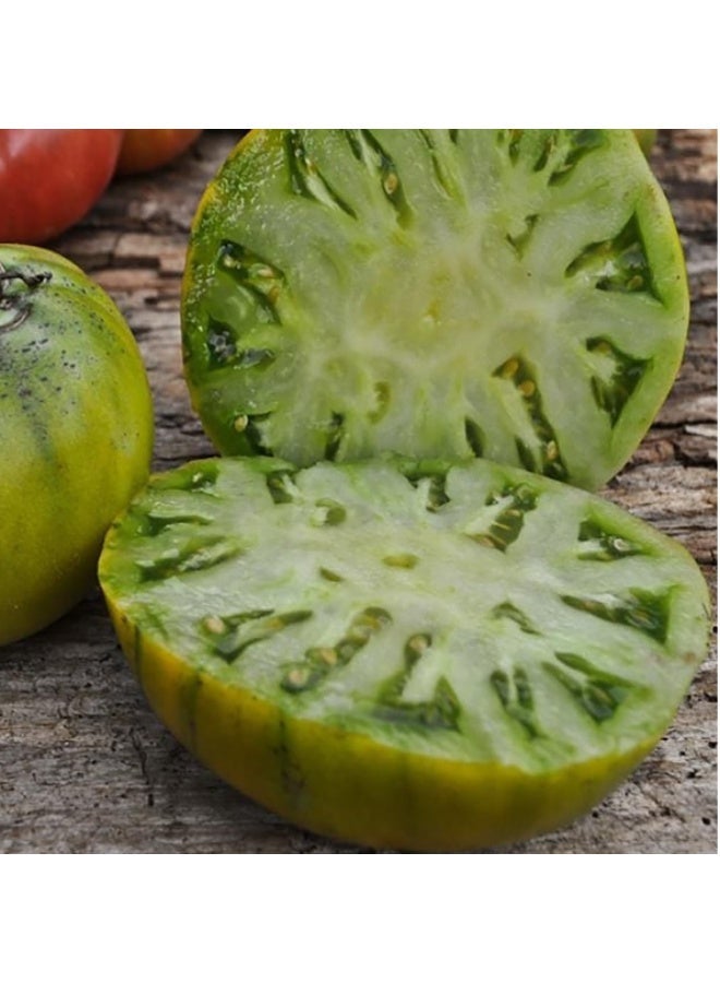 100 PCS Green Tomato Seeds For Home Garden Planting - Image 1