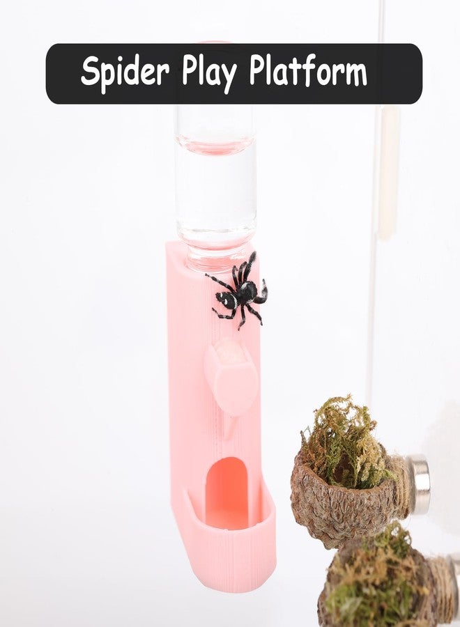 Daerky Small Animal Water Feeder, Magnetic Hanging Feeder & Hidden Cave - Accessories for Jumping Spiders, Wolf Spiders, Mantises, Arboreal Animals & Other Small Creatures - 5ML Capacity (Red) - Image 5