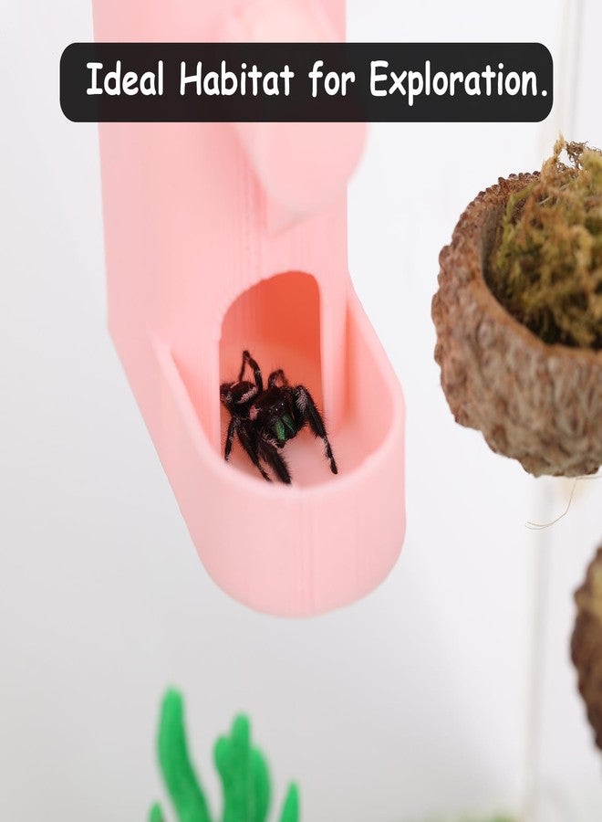 Daerky Small Animal Water Feeder, Magnetic Hanging Feeder & Hidden Cave - Accessories for Jumping Spiders, Wolf Spiders, Mantises, Arboreal Animals & Other Small Creatures - 5ML Capacity (Red) - Image 2