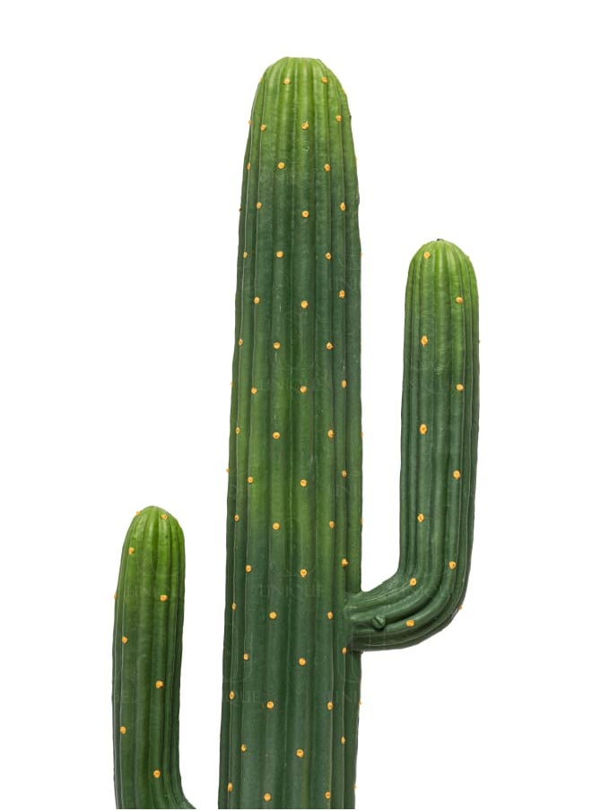Unique Pots And Plants Cactus Artificial Plant With Yellow Soft Spikes H70CM  - Image 2