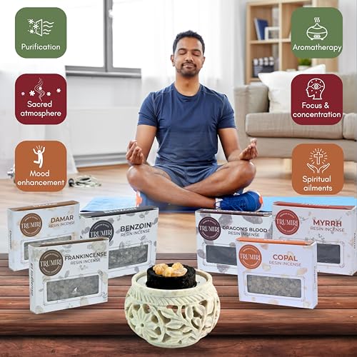 TRUMIRI بخور الراتنج - صمغ شجرة طبيعي - 6x30غ مجموعة متنوعة تشمل اللبان والمر والكوبال والبنزويين ودم التنين والدمر - Image 3