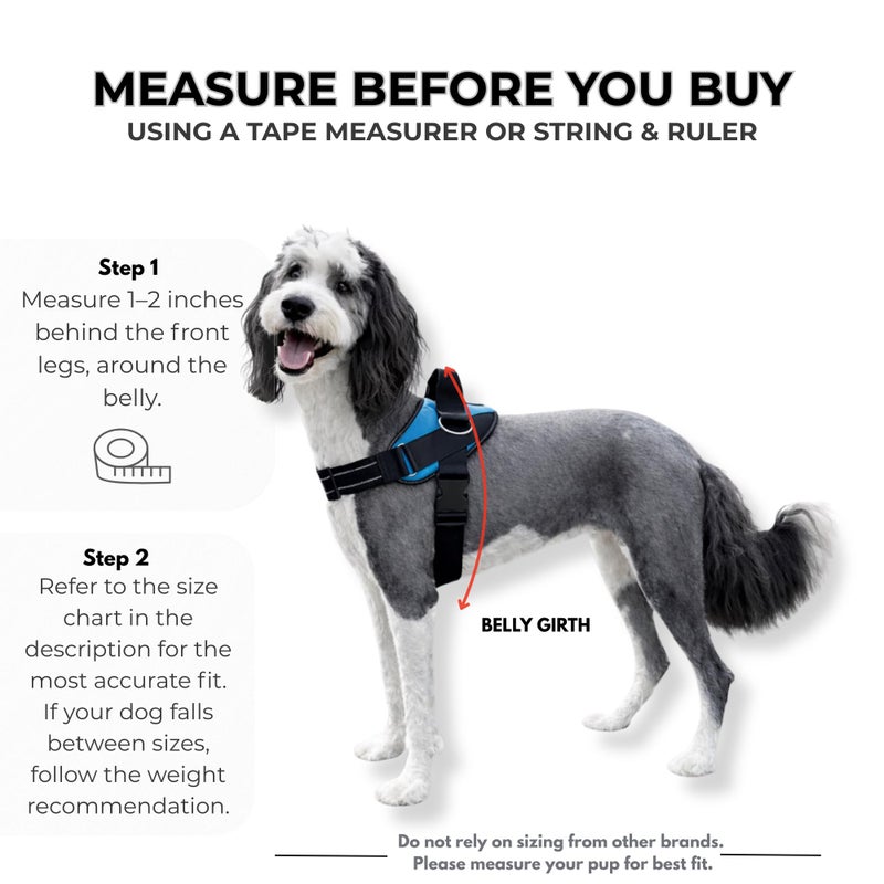 ShawnCo Essential Dog Harness, No-Pull Pet Vest with 3 Leash Clips, No Choke, Reflective, Adjustable and Padded, for Easy Walking and Training for Small, Medium and Large Dogs (Mustang Red, L) - Image 5