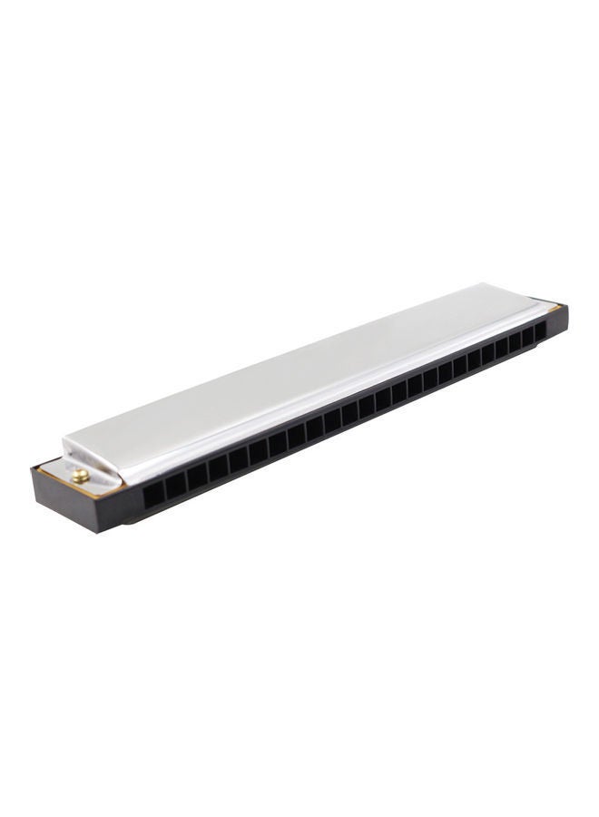 NIBEMINENT 24-Holes Tremolo Harmonica  - Image 5