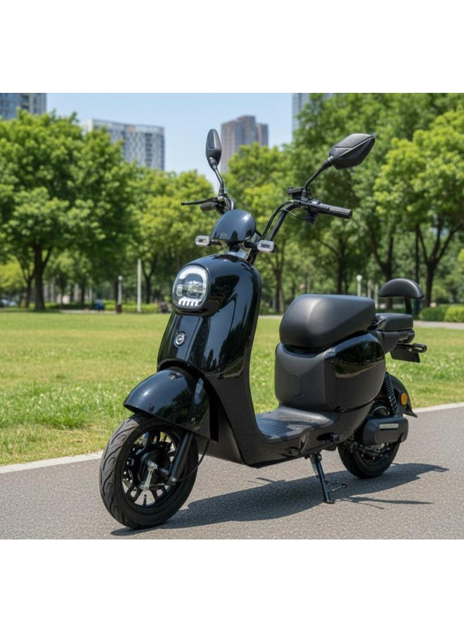 دباب كهربائي مميز 48V - Image 1