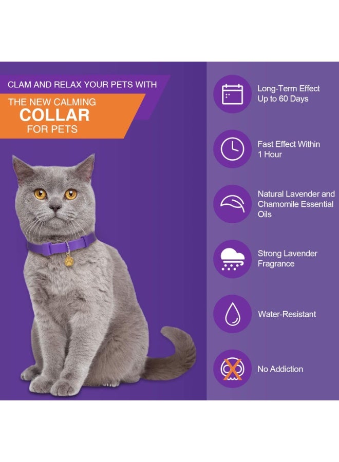4 Pcs Calming Cats Collar Adjustable Cat Calm Collar Lavender Scent Relaxing Cat Collar with 2 Pendant for Puppies Cats Reduce Stress Aggression Anxious, up to 15 Inches (Purple, Gold) - Image 2