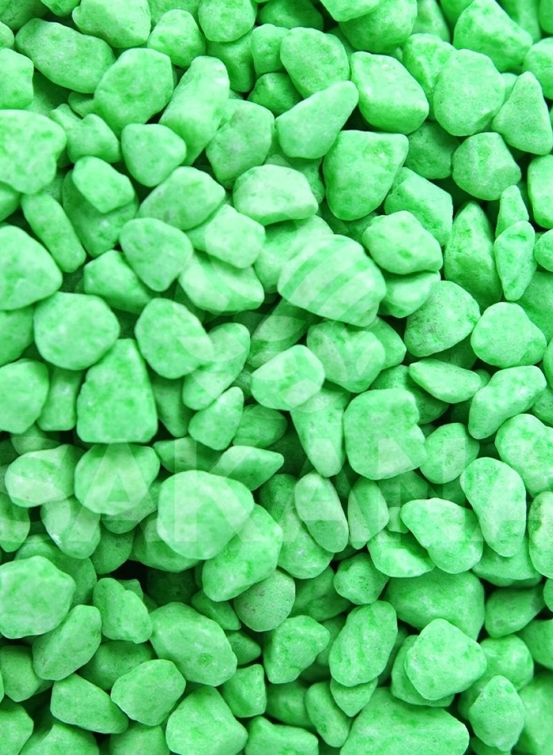 Dymax Color Stones 08 – Green (4kg) | Decorative Moss Green Stones for Aquascaping