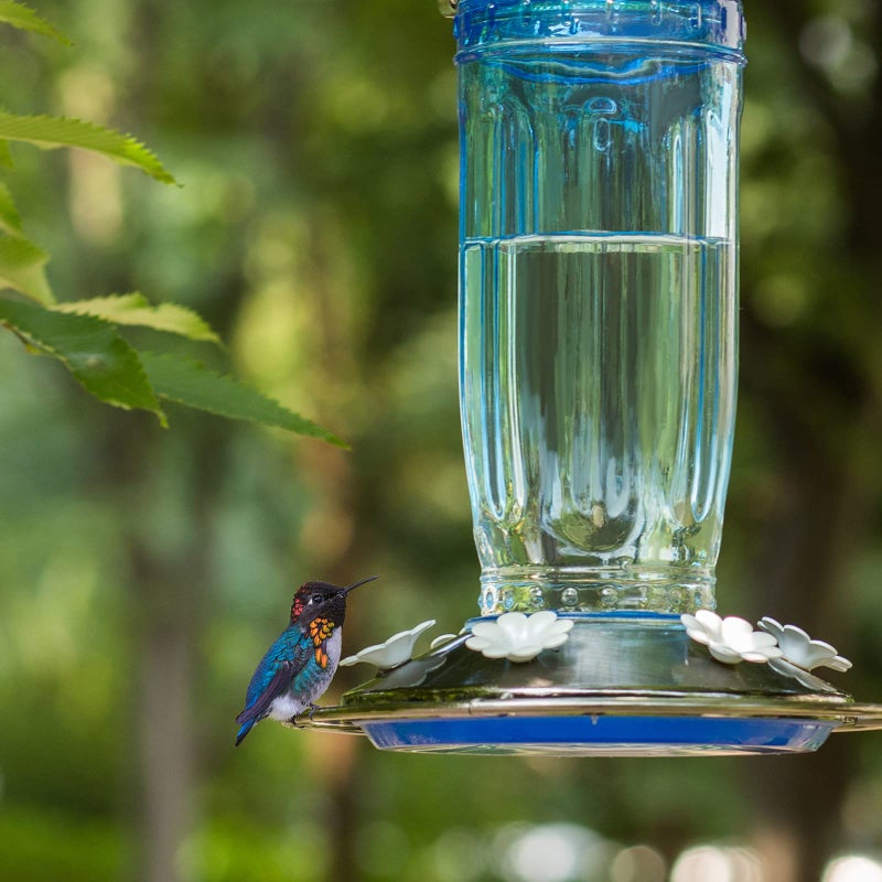 Kingsyard Glass Hummingbird Feeder for Outdoors Wild Bird Feeder with 6 Feeding Ports Hanging for Garden Yard, Blue (Ant Moat Included) - Image 2