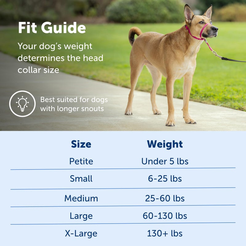 PetSafe Gentle Leader Headcollar No-Pull Dog Collar - Helps Improve Walks - Durable Nylon Construction - Padded Nose Loop - Adjustable Fit - Comfort Walking Halter - Medium, Silver - Image 5