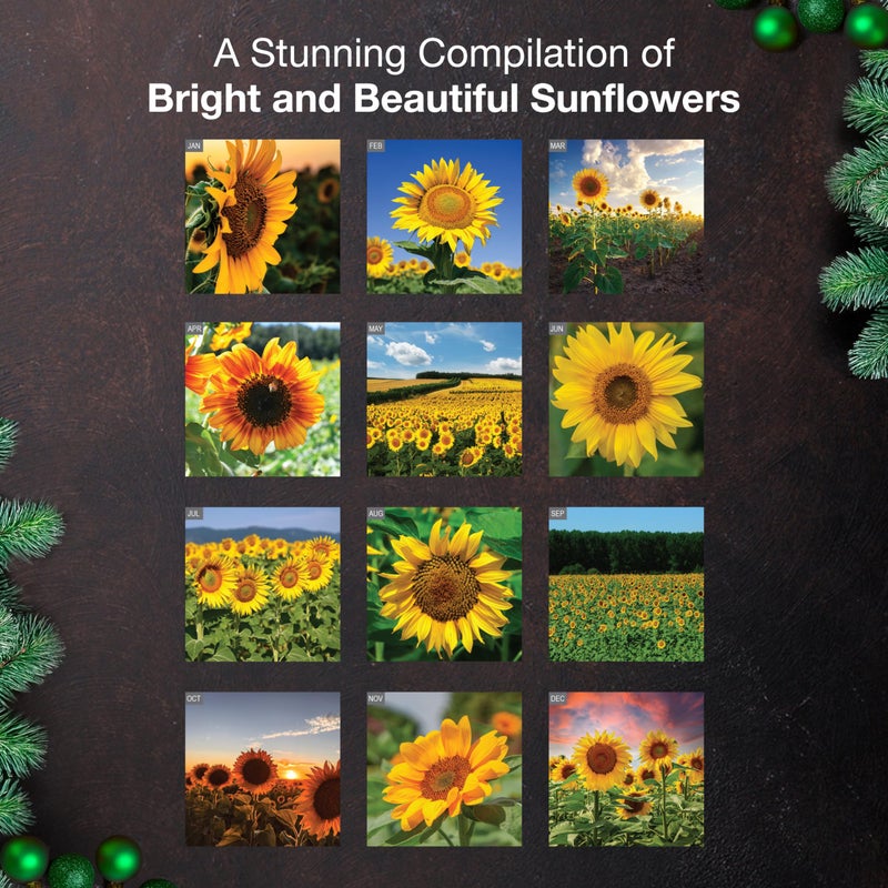 MICASA PRESS Sunflowers 2026 Wall Calendar 12 Month | 12" x 24" Open | Thick & Sturdy Paper | Holiday Gift | Nature Calendar 2026 - Image 3