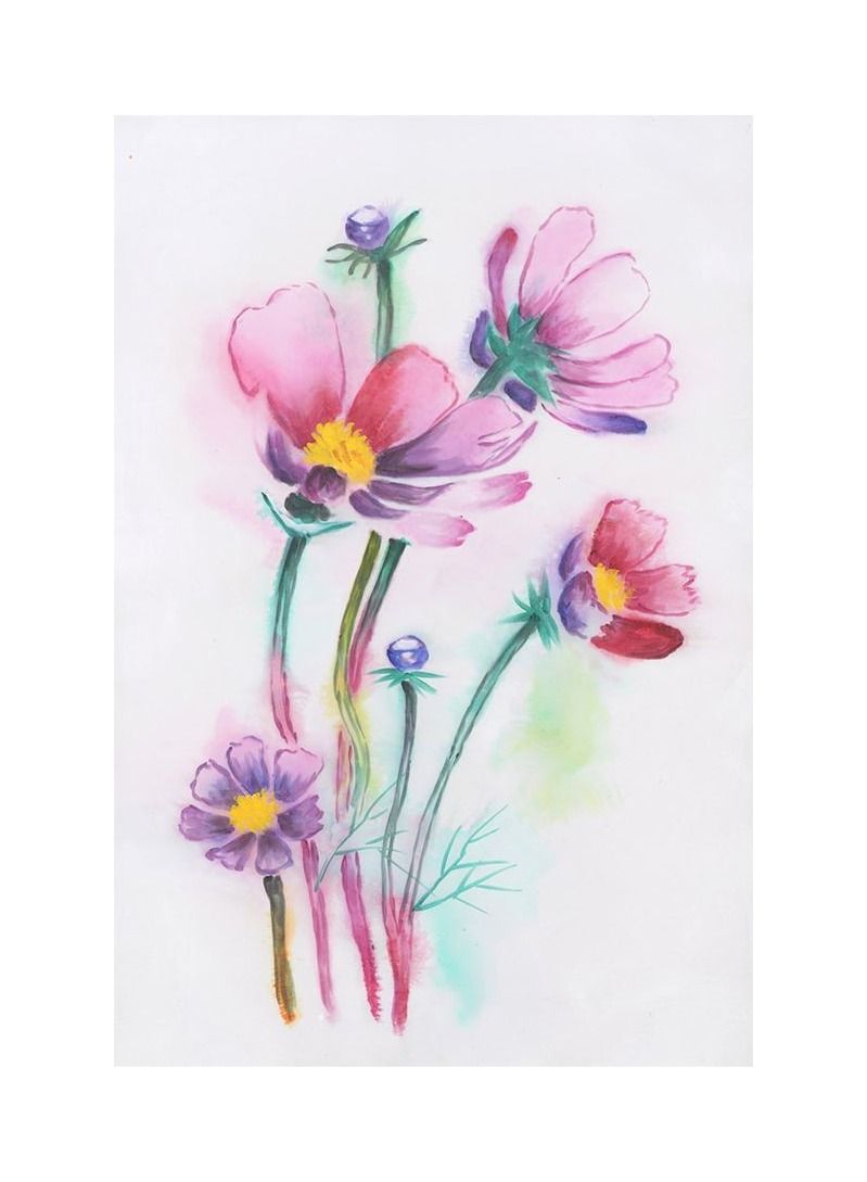 كانجرو لوحة أزهار كوزموس مرسومة باليد بألوان مائية وردية وبنفسجية زاهية على خلفية بيضاء.