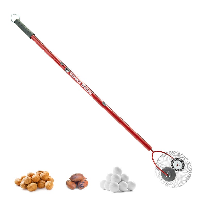GARDEN WEASEL Medium Nut Gatherer Roller â€“ Nut Collector Tool for Pecans, Hickory Nuts, Golf Balls and More â€“ Yard Picker Upper with Durable Steel Cage and Ergonomic Handle - Newest Model - Image 1