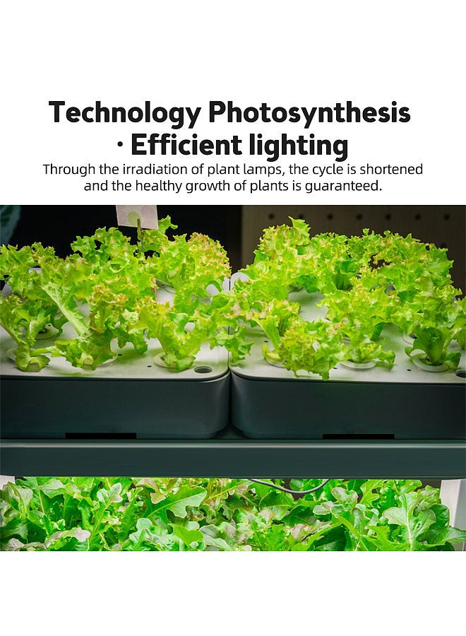 Generic LED Plant Grow Light Strips 6.2W 126LED 4000K 169.2lm Bright Grow Lamp with 8H/12H/16H Timer 5 Dimmable Brightness Growth Light for Green House Hydroponics Succulent 3 Bars  - Image 3