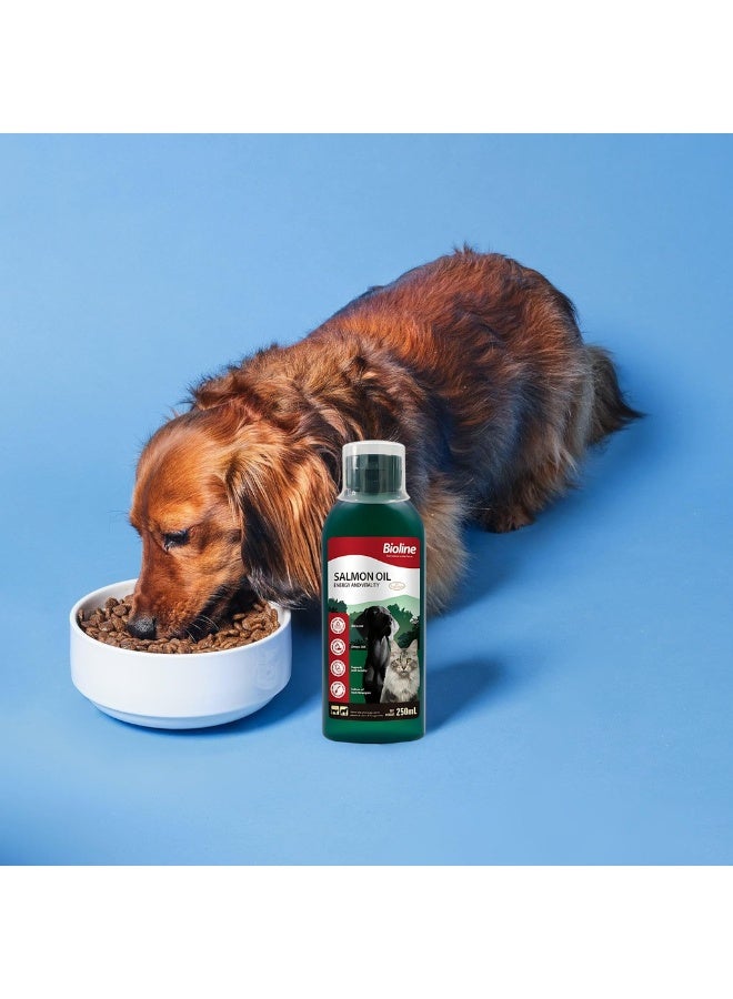 بايولاين زيت السلمون النرويجي بيو لاين 250 مل - Image 5