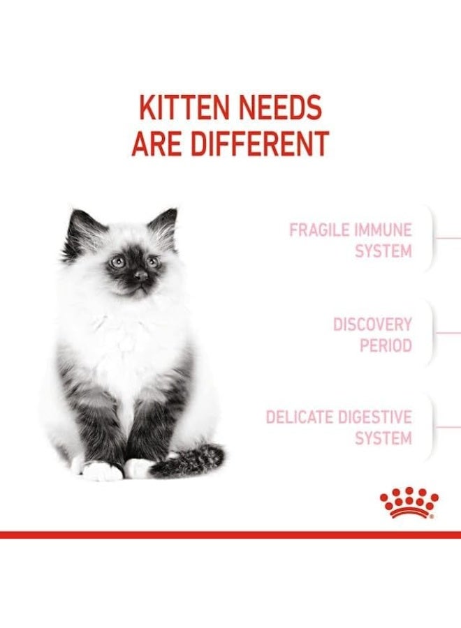 رويال كانين، قطط صغيرة حتى عمر 12 شهرًا 10kg - Image 4