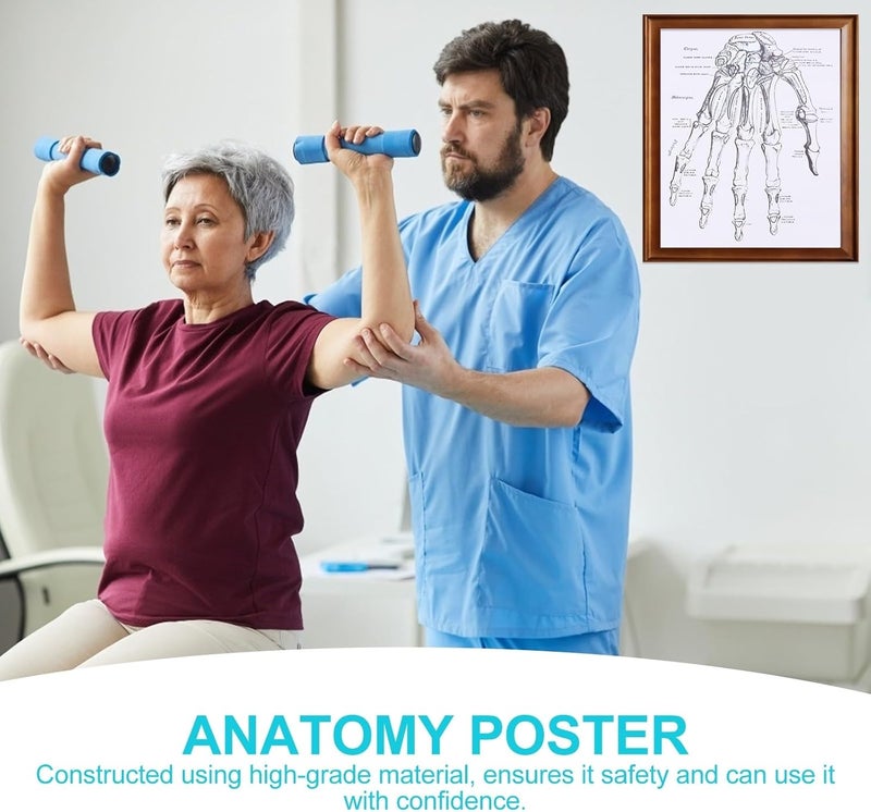 Multi-budget available picks Baluue Human Anatomy Wall Art Poster 40x50cm, Human Body Organs Anatomy Chart for Healthcare Facility and Home Decor, Educational Science Teaching Chart Field tested quality - Image 3