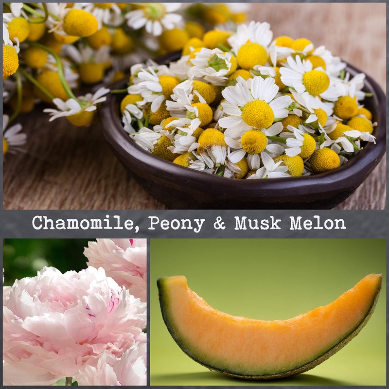 CoCo Benjamin 100% Soy, Highly Scented, Hand Poured Soy Candle (Chamomile, Peony & Musk Melon) - Image 2