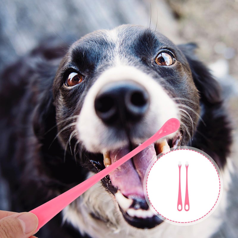2Pcs Pet Toothbrush Set Soft Bristles Long Handle For Dog Cat Teeth Cleaning - Image 5