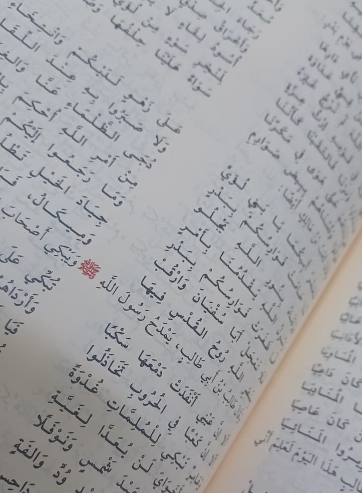 السيرة النبوية قياس 17*24 - Image 5