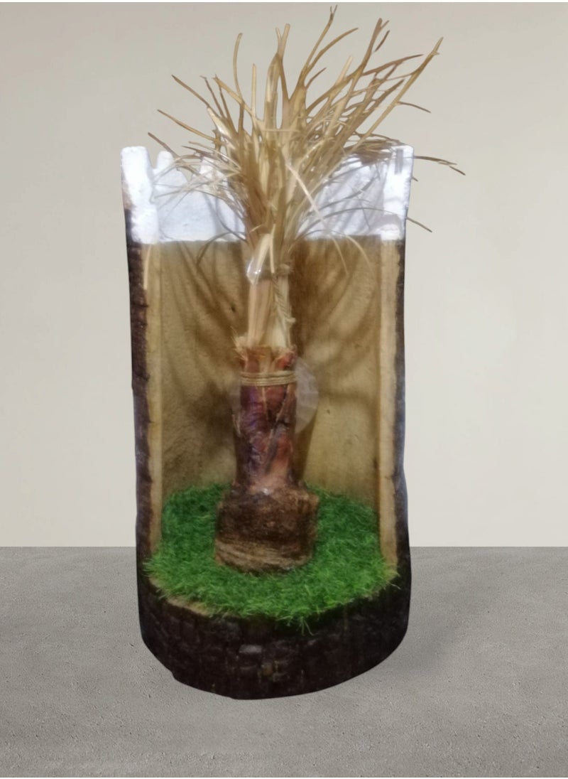 Generic carved palm tree with a small dried  palm tree inside  - Image 1