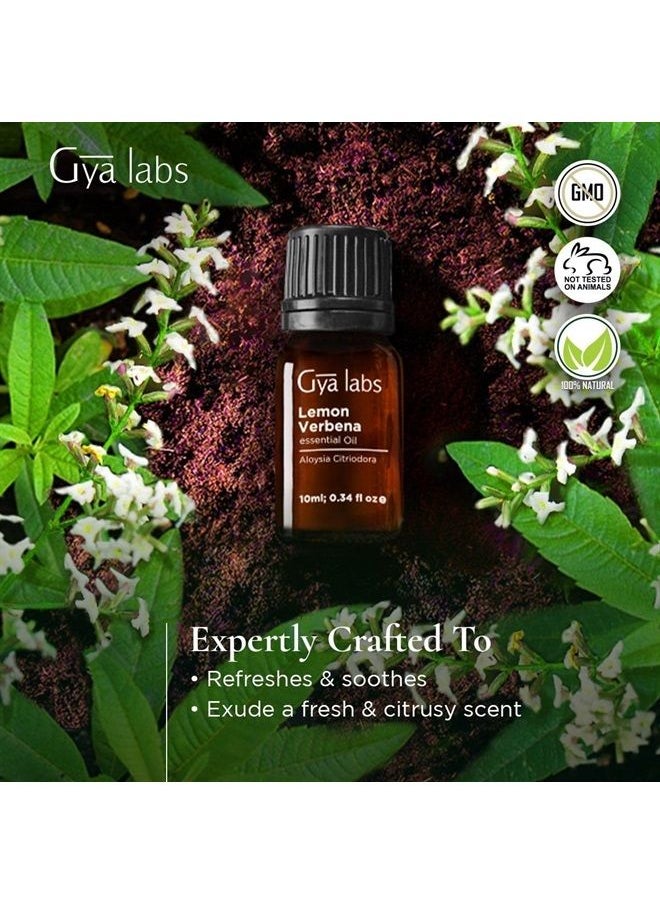 Lemon Verbena Essential Oil - Fresh & Citrusy Scent for Diffuser and Soap Making (0.34 fl oz)
