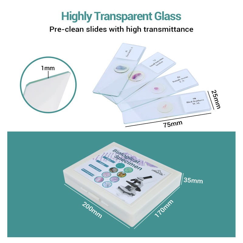MAXLAPTER 100 Microscope Slides with Specimens for Kids and Adults, Prepared Microscope Slides with Plants Animals Insects for Students Homeschool Edu - Image 2